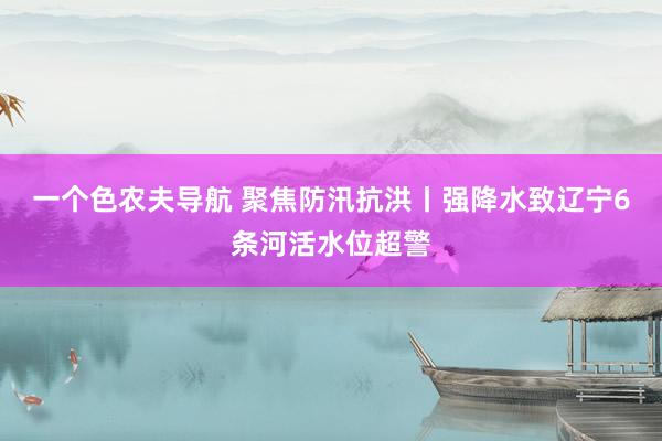 一个色农夫导航 聚焦防汛抗洪丨强降水致辽宁6条河活水位超警