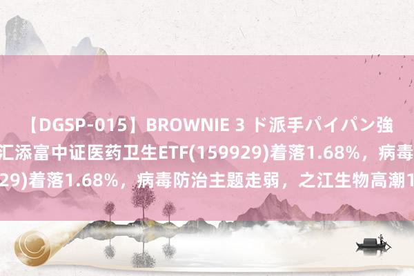 【DGSP-015】BROWNIE 3 ド派手パイパン強め黒ギャル ETF最前哨 | 汇添富中证医药卫生ETF(159929)着落1.68%，病毒防治主题走弱，之江生物高潮1.94%