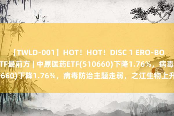 【TWLD-001】HOT！HOT！DISC 1 ERO-BODY BURNING DANCE ETF最前方 | 中原医药ETF(510660)下降1.76%，病毒防治主题走弱，之江生物上升1.94%