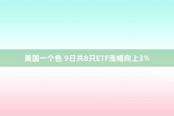 美国一个色 9日共8只ETF涨幅向上3%