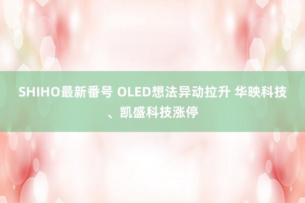 SHIHO最新番号 OLED想法异动拉升 华映科技、凯盛科技涨停