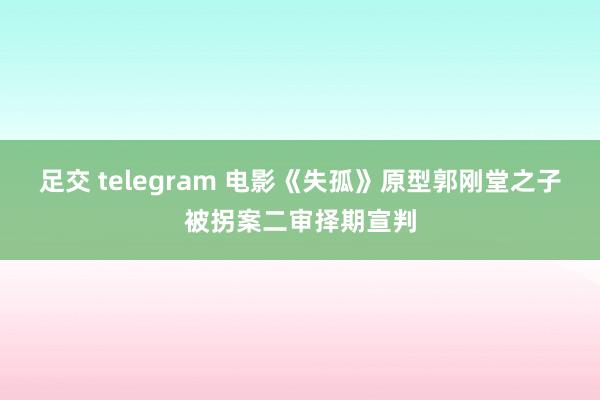 足交 telegram 电影《失孤》原型郭刚堂之子被拐案二审择期宣判