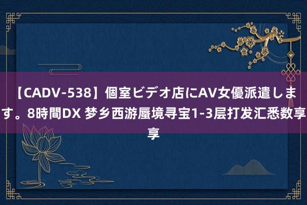 【CADV-538】個室ビデオ店にAV女優派遣します。8時間DX 梦乡西游蜃境寻宝1-3层打发汇悉数享