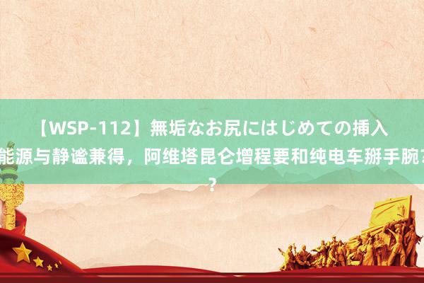 【WSP-112】無垢なお尻にはじめての挿入 能源与静谧兼得，阿维塔昆仑增程要和纯电车掰手腕？