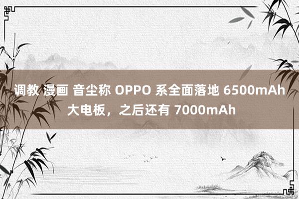 调教 漫画 音尘称 OPPO 系全面落地 6500mAh 大电板，之后还有 7000mAh