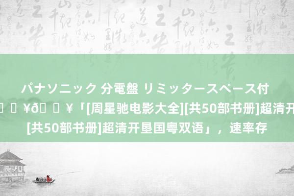 パナソニック 分電盤 リミッタースペース付 露出・半埋込両用形 🔥🔥「[周星驰电影大全][共50部书册]超清开垦国粤双语」，速率存