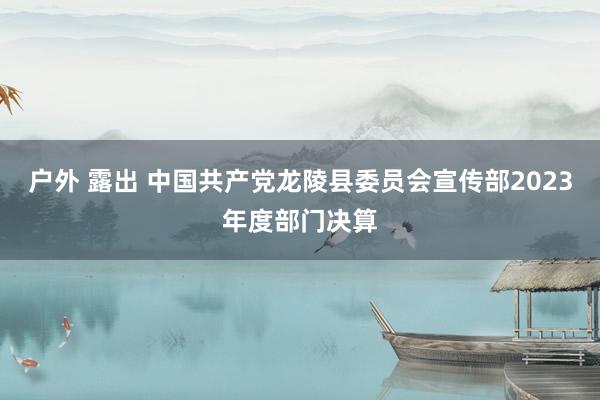 户外 露出 中国共产党龙陵县委员会宣传部2023年度部门决算