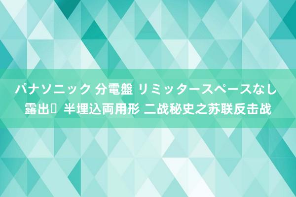 パナソニック 分電盤 リミッタースペースなし 露出・半埋込両用形 二战秘史之苏联反击战