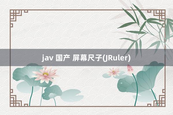 jav 国产 屏幕尺子(JRuler)