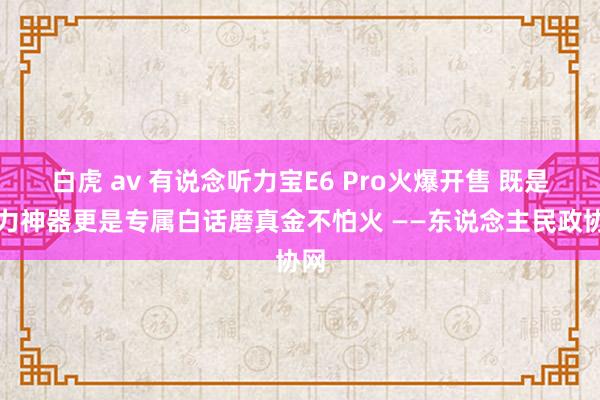 白虎 av 有说念听力宝E6 Pro火爆开售 既是听力神器更是专属白话磨真金不怕火 ——东说念主民政协网