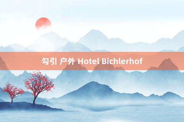 勾引 户外 Hotel Bichlerhof